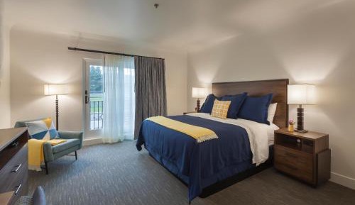 Deluxe Room with 1 King bed