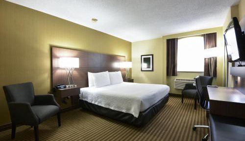 Premier Room, 1 King Bed