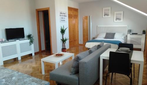 Studio with Sofa Bed