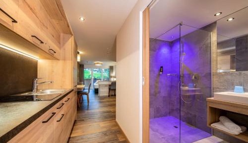 Apartment with Mountain View