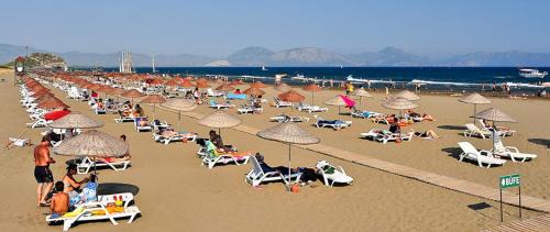 One-bedroom Loft Apartment 