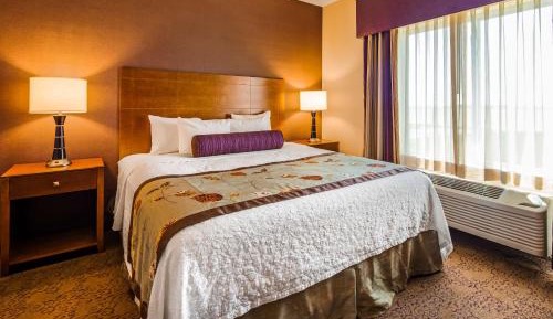One-Bedroom King Suite with Sofa Bed 