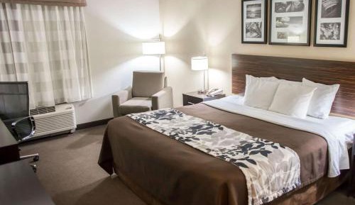 Standard King Room - Non-Smoking 