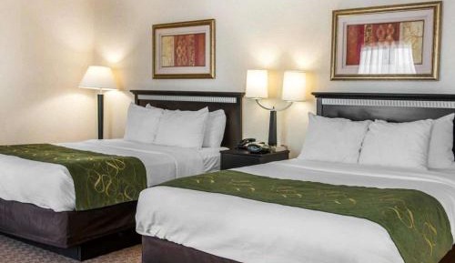 Queen Suite with Two Queen Beds - Non-Smoking