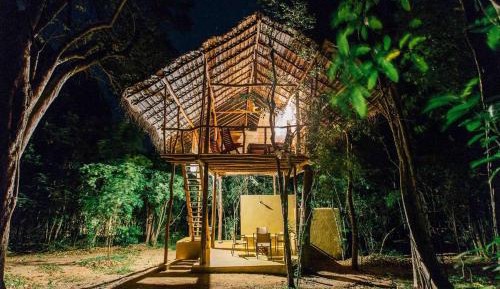Quadruple Tree House