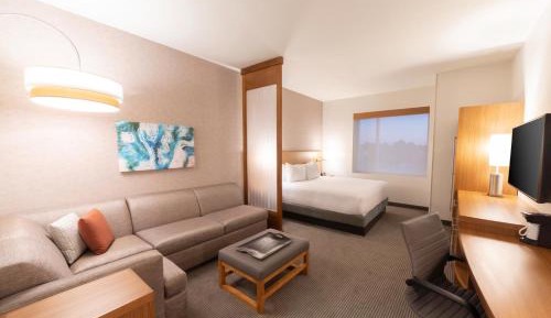 King Room with Sofa Bed