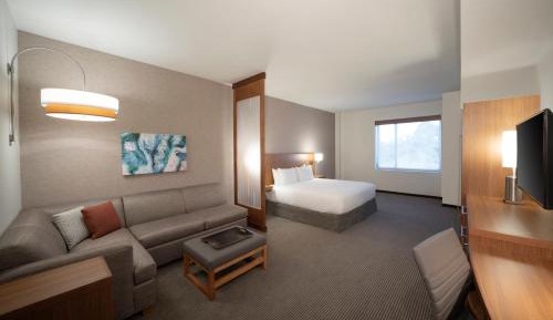 King Room with Sofa Bed and Accessible Tub