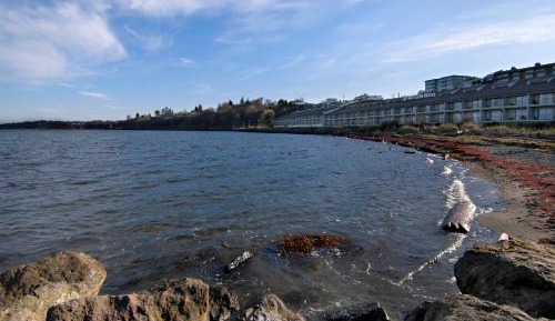 King Room with Sea View