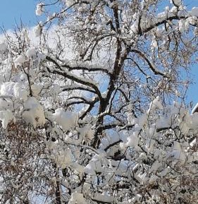 Family Room with Private Bathroom