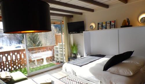 Studio Apartment with ski slopes view