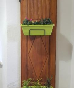 One-Bedroom Standard Apartment