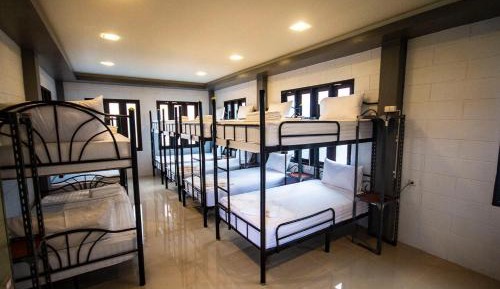 Bunk Bed in Mixed Dormitory Room