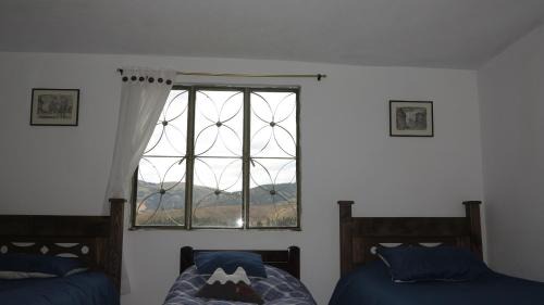 Single Bed in Dormitory Room