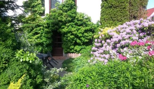 Apartment with Garden View