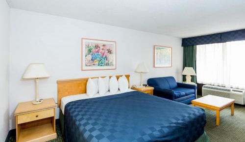 King Room with Pool View