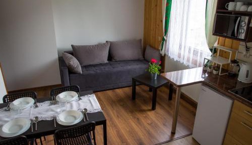 Apartment with Mountain View