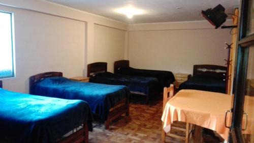 Single Bed in Female Dormitory Room