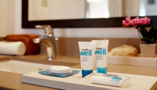 King Studio Suite with Kitchen and Sofa Bed