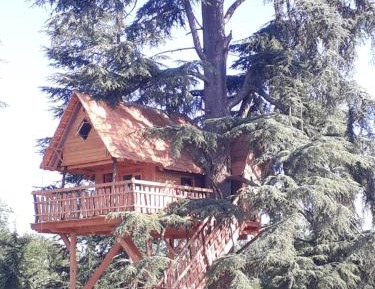 Tree House ( 4 Adults )