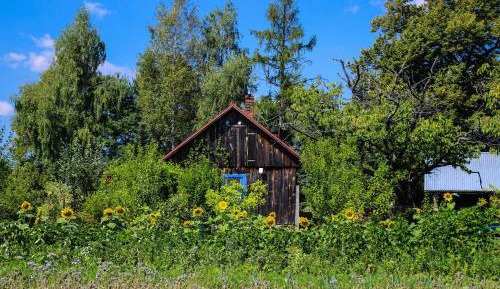 Holiday Home