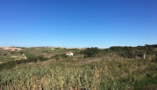 Bed in 4-Bed Mixed Dormitory Room