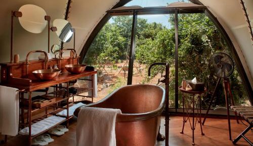 Cocoon Suite with One Free Game Drive 