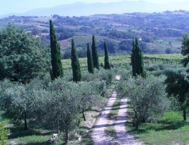 King Room with Mountain View