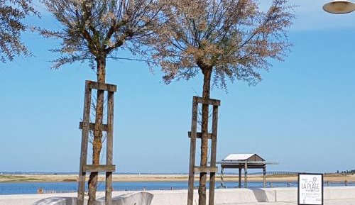 Suite 1 with Sea View - Ground Floor