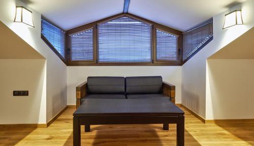 Deluxe Studio Alpine Style