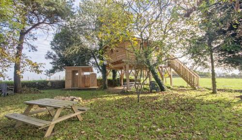 Hut in the tree