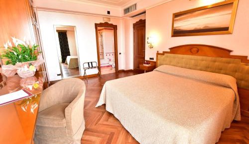 Superior Deluxe Double or Twin Room 