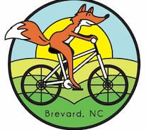Brevard Cabin | Grey Fox Getaway in Happy Fox Hollow