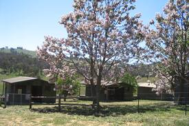 Bullioh Other | Tullimbar Log Cabin 1