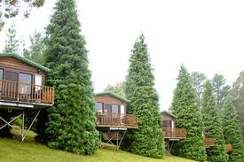 Bilpin Cabin | Studio Cedar Cabins in Bilpin