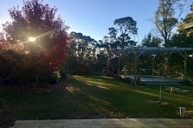 Blackheath House | Frog and Fog