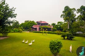 Bissar Akbarpur House | THE PEPFARM- Farm house for parties