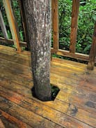 Andrews House | Little Tree