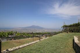 Piazza Roma Apartment | Villa Varone between Pompei and Sorrento