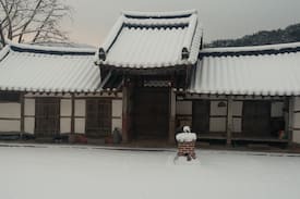 Jeongeup Other | 다유락