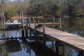Kilmarnock House | House with pool on Barnes Creek near Fleets Bay