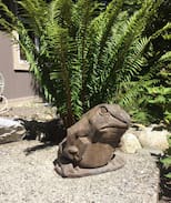 Tofino House | Tree Frog Suite
