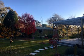 Blackheath House | Frog and Fog