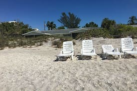 Englewood House | Blue Dolphin on the beach! Sharks teeth, Shells!