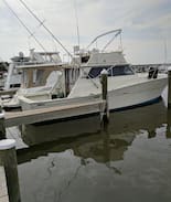 Cambridge Boat Rental | Knox Landing