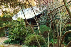 Rosman Cabin | The Old Log Cabin