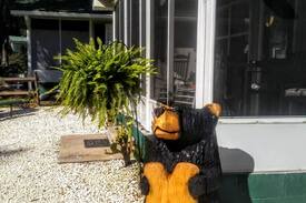 Salt Springs Cabin | The Bear Cottage at Salt Springs Resort