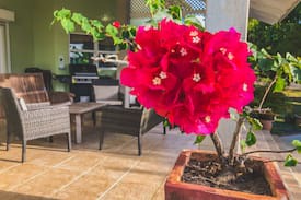 Blanchisseuse House | The Beach House / Private Beach in Blanchisseuse