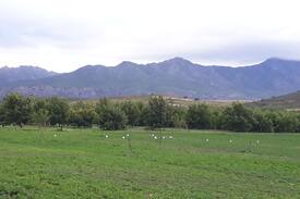 Boesmanspad Other | Pecan Nut Farm Stay