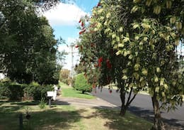 Casterton House | Bellenhill House. Garden View. Casterton Vic. AUS.