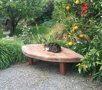 Martinborough Cabin | Fig Tree Cottage - Secluded, Convenient, Personal